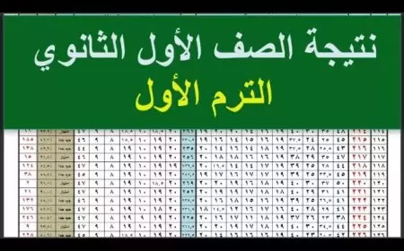 موقع وزارة التربية والتَّعليم نتيجة الصف الاول الثانوي الترم الاول 2025 برقم الجلوس والاسم eduserv.cairo.gov.eg