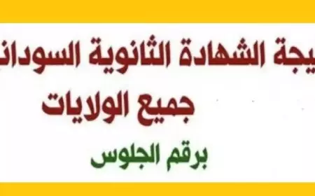 جميع الولايات.. نتائج الشهادة السودانية 2025 بالاسم ورقم الجلوس وطريقة الاستعلام عبر mohe.gov.sd