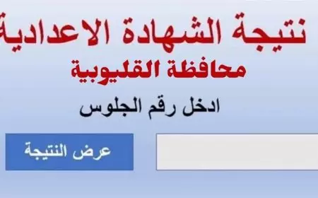 موعد ورابط نتيجة الشهادة الإعدادية 2025 محافظة القليوبية الترم الثاني وتوزيع الدرجات