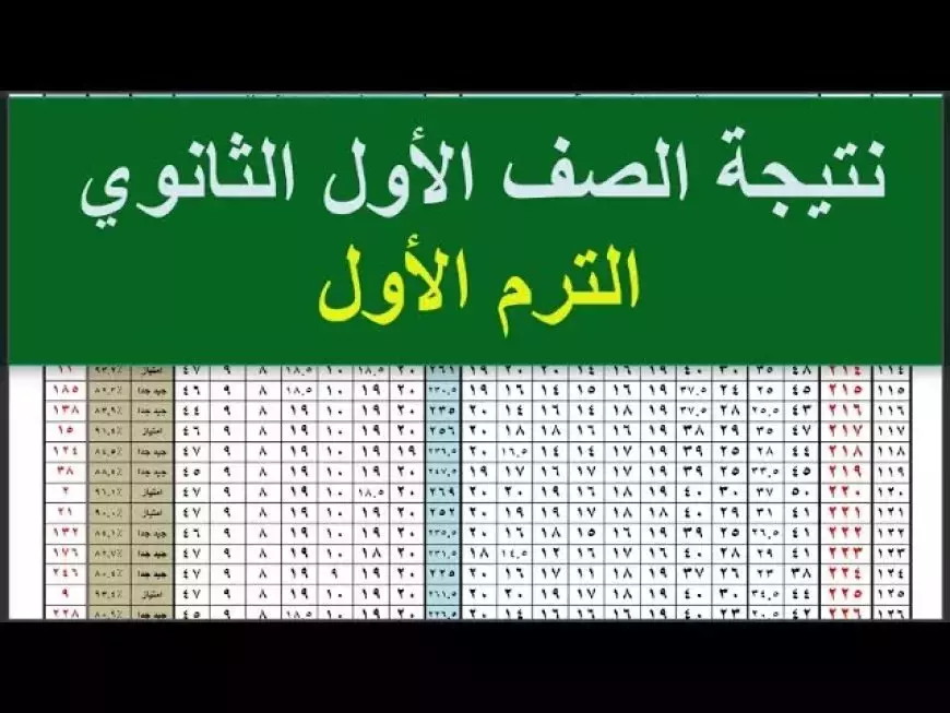 موقع وزارة التربية والتَّعليم نتيجة الصف الاول الثانوي الترم الاول 2025 برقم الجلوس والاسم eduserv.cairo.gov.eg