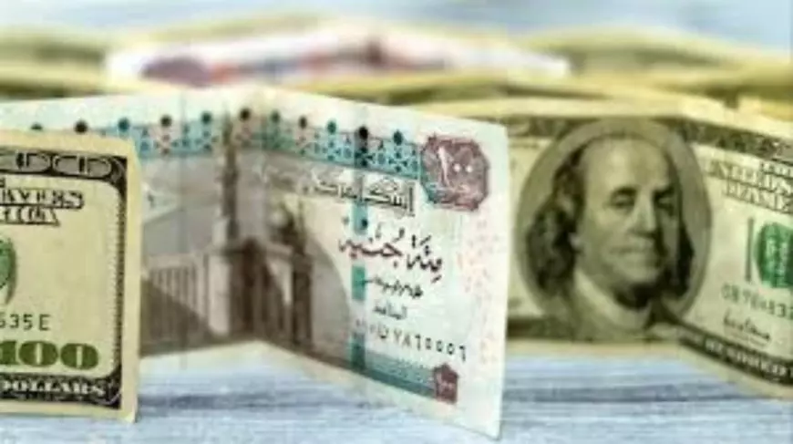 سعر الدولار اليوم مقابل الجنية المصري السبت الموافق 1 فبراير 2025 وفق آخر تحديث صادر عن البنوك