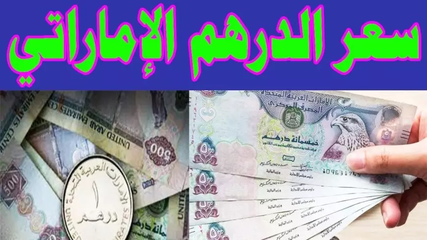 سعر الدرهم الإماراتي اليوم في البنوك المصرية والسوق السوداء