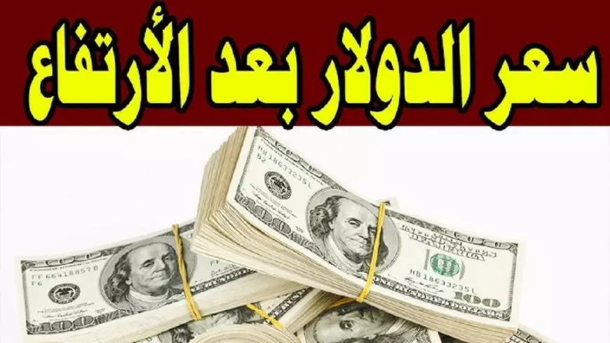 سعر الدولار الان مع عودة البنوك مقابل الجنيه المصري اليوم الاحد 2 فبراير 2025 سعر الدولار في السوق السوداء