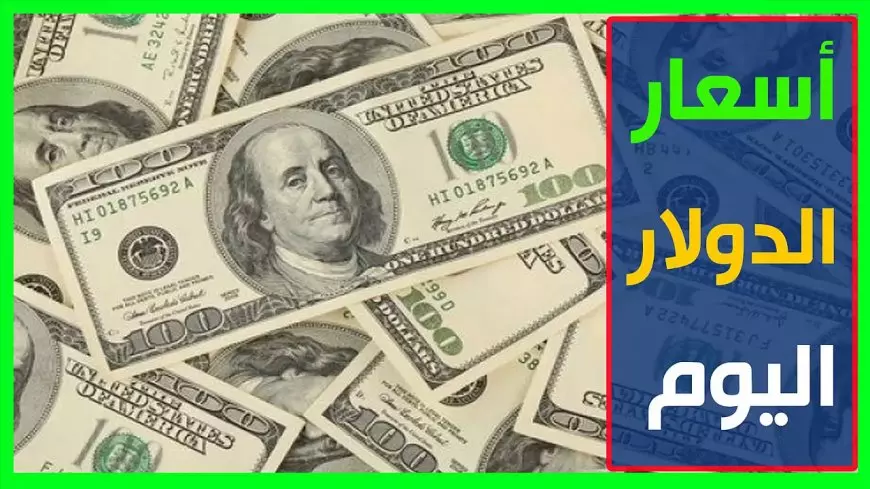 سعر الدولار اليوم في السوق السوداء الاربعاء 12 فبراير 2025 اسعار الدولار مقابل الجنيه المصري في البنوك