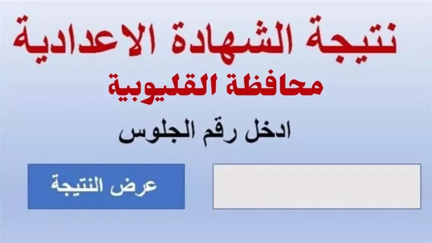 رسميًا.. ظهور نتيجة الشهادة الإعدادية 2025 بالقليوبية