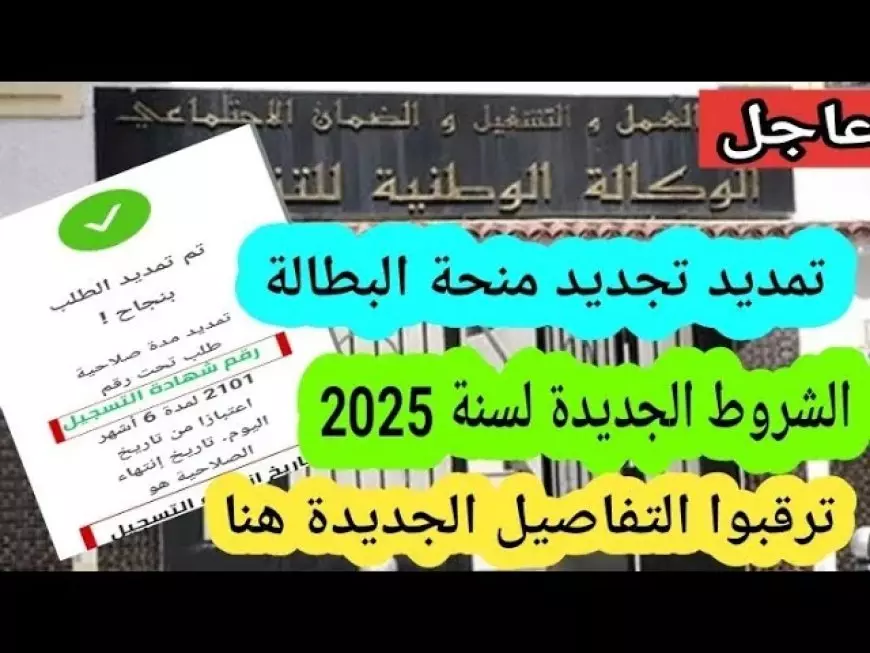 موقع الوكالة الوطنية للتشغيل.. رابط تجديد منحة البطالة 2025 وأهم الشروط