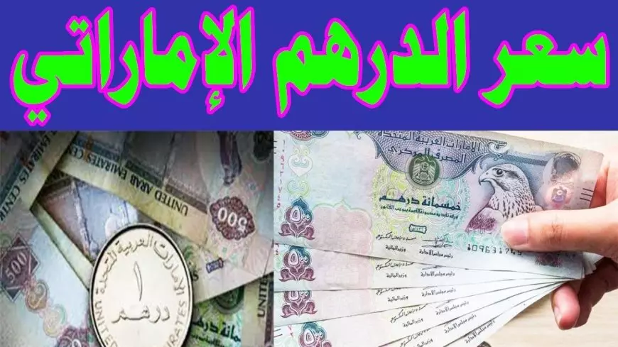 سعر الدرهم الإماراتي اليوم في البنوك والسوق السوداء مقابل الجنيه المصري الاثنين 24 فبراير 2025