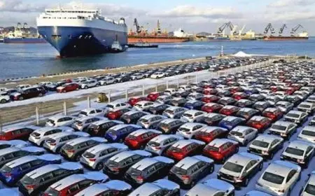 رسميا.. مصر تبدأ غدا الإفراج عن سيارات ذوي الهمم بعد احتجازها لمدة 8 أشهر