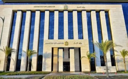 وزارة العمل: 960 فرصة عمل بـ49 شركة قطاع خاص في 10 محافظات