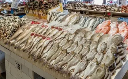 6 مارس 2025.. أسعار الأسماك في سوق العبور للجملة اليوم