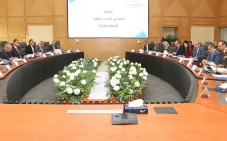 المجلس الأعلى للطاقة يناقش 14 مشروعا صناعيا جديدا والموافقة على توفير الطاقة اللازمة