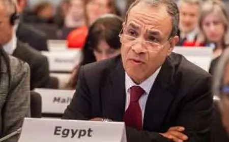 وزير الخارجية: الجانب الأكبر من المساعدات الأمريكية لمصر عسكرية