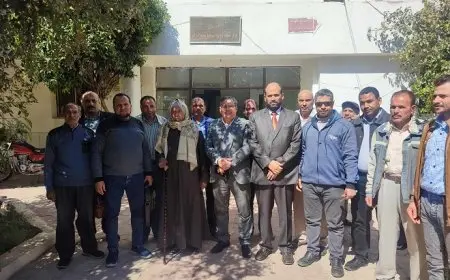 معهد بحوث القطن: الاستعداد بـ9 أصناف لزراعة القطن بموسم 2025