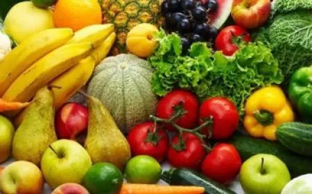 وزير البترول يعتمد نتائج أعمال شركة إبيسكو لعام 2024