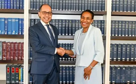 تعزيز التعاون الدستوري بين مصر وجنوب أفريقيا