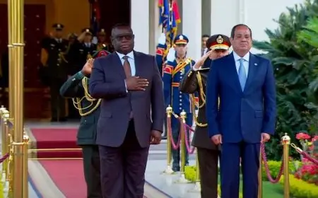 الرئيس السيسي يؤكد على ما يمثله ملف مياه النيل من أهمية وجودية لمصر