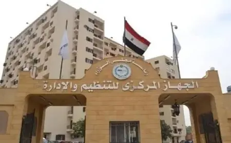 التنظيم والإدارة يعلن عن مسابقة لشغل 4474 وظيفة معلم مساعد رياض أطفال بالأزهر الشريف