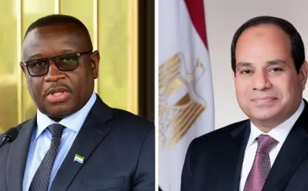 السيسي ونظيره السيراليوني يؤكدان ضرورة حصول القارة الإفريقية على العضوية الدائمة بمجلس الأمن الدولي