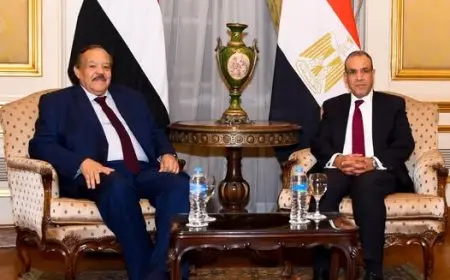 عبد العاطي يؤكد دعم مصر للمؤسسات الوطنية السودانية وجهودها لاستعادة الاستقرار