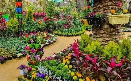 الزراعة: استعدادات نهائية لانطلاق النسخة الـ92 من معرض زهور الربيع