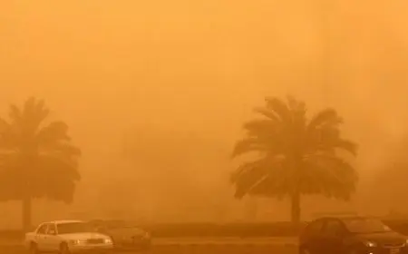 البيئة تحذر: انخفاض جودة الهواء بسبب العواصف الترابية