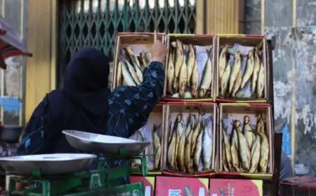 استعدادات العيد تقفز بواردات الرنجة 234% خلال ديسمبر الماضي