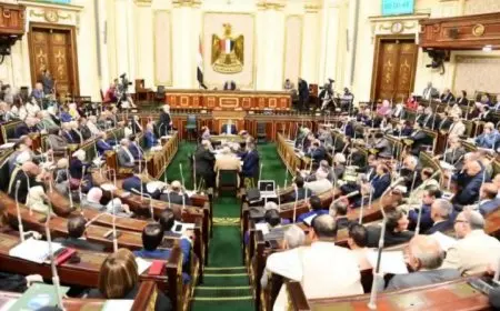 نواب: دعم العاملين ورفع أجورهم من أبرز مستهدفات الموازنة الجديدة