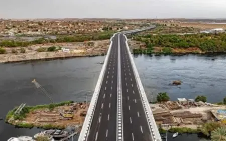 محور بديل خزان أسوان لدعم التنمية وتخفيف الضغط المروري: يربط شرق وغرب النيل ويقلل المسافات بين المحاور