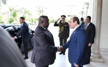 رئيس سيراليون يشيد بحكمة ورؤية الرئيس السيسي لتنمية إفريقيا