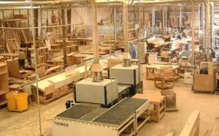 غرفة الأخشاب: تطوير صناعة الأثاث في مصر يحتاج إلى مواكبة المعايير العالمية والتنافسية