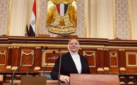 النائبة منال نصر: المشهد الوطني لرفض تهجير الفلسطينيين تأكيد جديد على وحدة الصف المصري