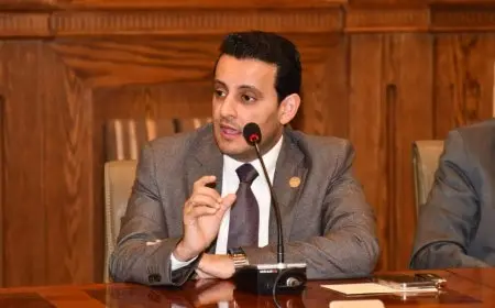 النائب أحمد سمير: احتشاد ملايين المصريين اليوم تاريخي.. ورسائلها قوية للعالم أجمع