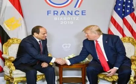 السيسي وترامب يبحثان تطورات الأوضاع في الشرق الأوسط وجهود استعادة الهدوء