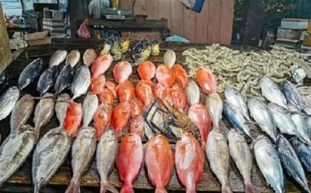 2 أبريل 2025.. أسعار الأسماك بسوق العبور للجملة اليوم