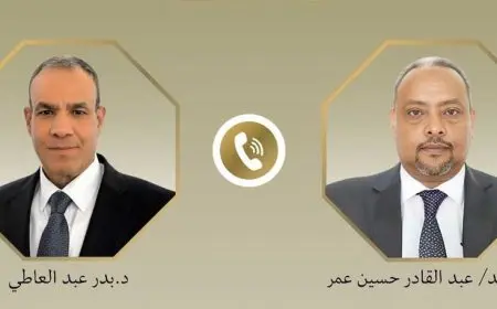 وزير الخارجية يبحث مع نظيره الجيبوتي دعم الاستقرار والتنمية بمنطقة القرن الأفريقي