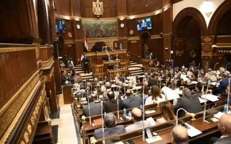 مجلس الشيوخ يستأنف جلساته العامة بمناقشة تطوير النظام الجمركي الأسبوع المقبل