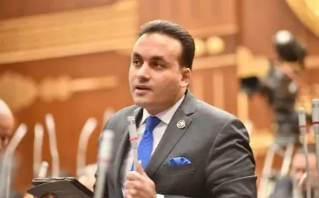 النائب عمرو فهمي: اقتحام المسجد الأقصى انتهاك صارخ وخرق واضح لجميع الاتفاقيات