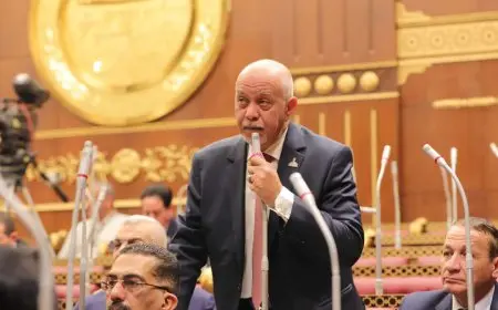 النائب حازم الجندي: اقتحام الشرطة الإسرائيلية للمسجد الأقصى تحدي سافر للأعراف الدولية