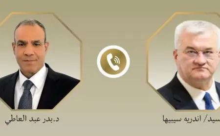 وزير الخارجية يؤكد لنظيره الأوكراني دعم مصر لجهود الوساطة بما يسهم في استعادة الأمن