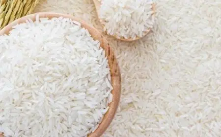 تراجع أسعار الأرز والقمح والذرة في مارس
