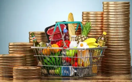 استقرار مؤشر الفاو لأسعار الغذاء في مارس رغم زيادة معظم السلع