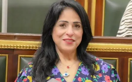 النائبة ميرال الهريدي: ما تشهده رفح الفلسطينية يكشف فشل النظام العالمي في حماية المدنيين الأبرياء