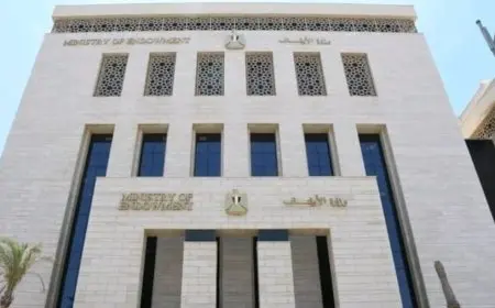 بعد فيديو لعب الأطفال.. الأوقاف تحدد 4 ضوابط لتواجدهم في المساجد