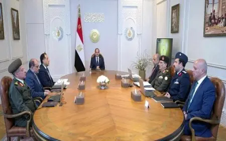 الرئيس السيسي يوجه بتسريع استكمال منظومة التغذية الكهربائية الإضافية المطلوبة لمشروع الدلتا الجديدة