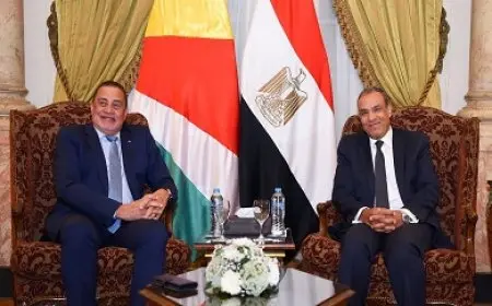 غزة على الطاولة.. جلسة مشاورات ثنائية بين وزير الخارجية والهجرة ونظيره السيشلي