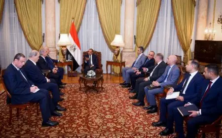 وزير الخارجية: الفظائع التي ترتكبها إسرائيل ستكرس شعور الكراهية والانتقام ضدها بالمنطقة