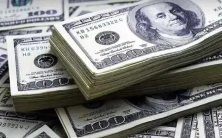 1.5 مليار دولار زيادة فى صافى الأصول الأجنبية خلال فبراير الماضى