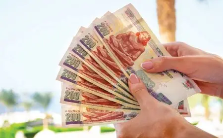 طلبات الأجانب للفائدة المرتفعة تقلل المستهدف فى أول طرح لأذون خزانة محلية فى أبريل