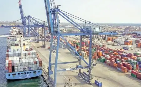 توقعات بتأثر صادرات مصر لأمريكا بنفس نسبة الرسوم الجمركية الجديدة