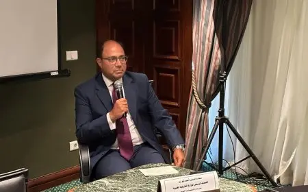 السفير أحمد أبو زيد: استثمار مصر في قوتها الناعمة تجارة رابحة